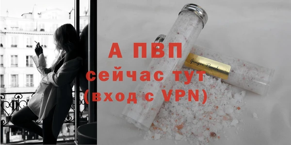 СК Новодвинск
