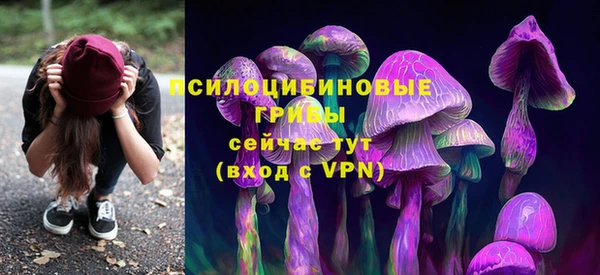 СК Новодвинск
