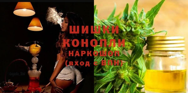 СК Новодвинск