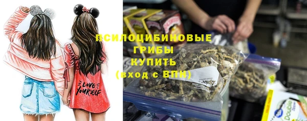 СК Новодвинск