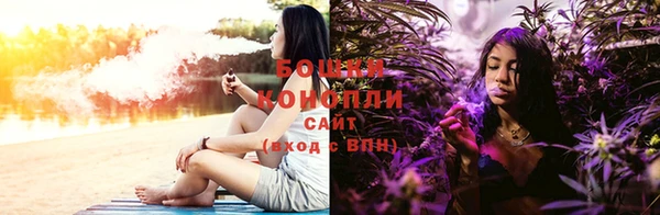 СК Новодвинск
