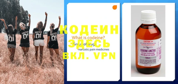 СК Новодвинск