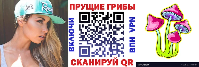 Псилоцибиновые грибы Magic Shrooms  shop как зайти  Котельниково  где найти  